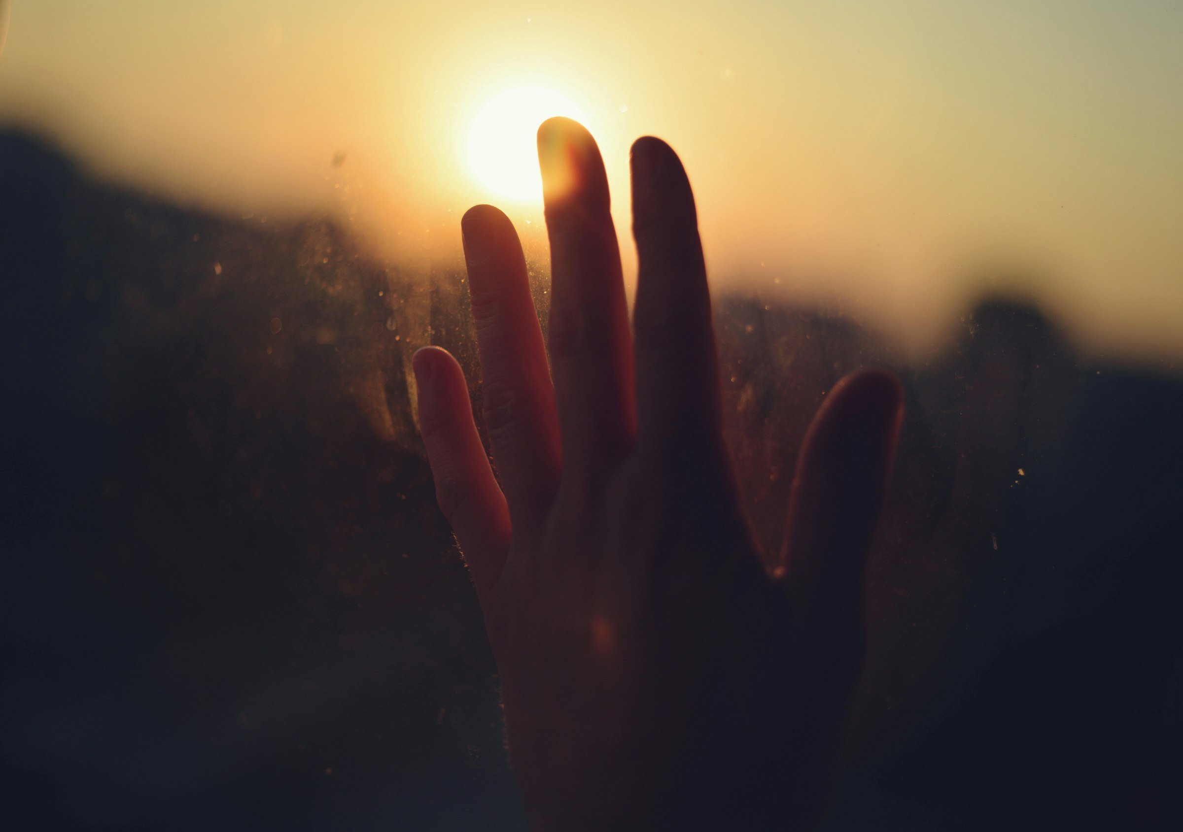 A hand reaching upward toward the light